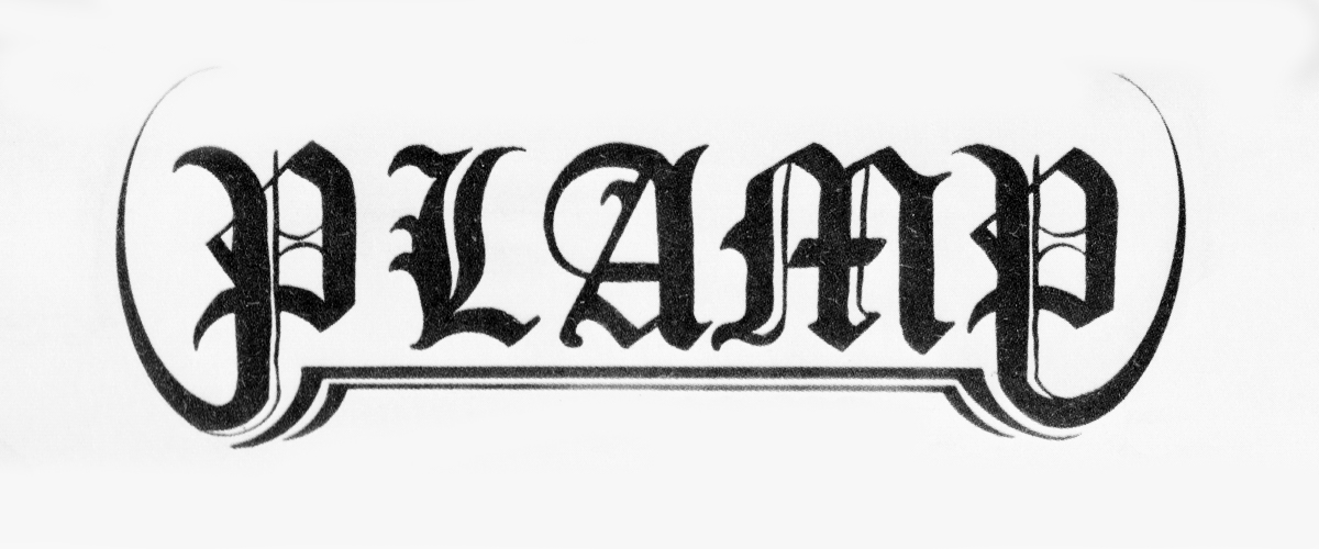 plamp_head1